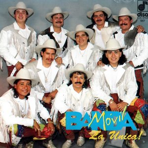 Bild für 'Banda Movil'