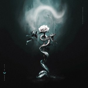 Image for 'Silver Venom'