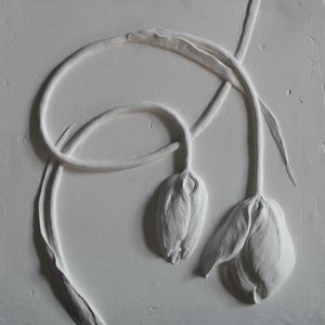 Image for 'Not Likely'
