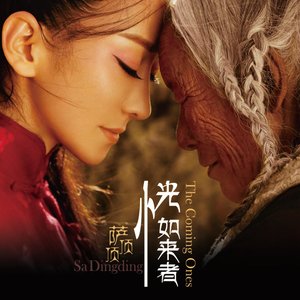 Immagine per '恍如来者'