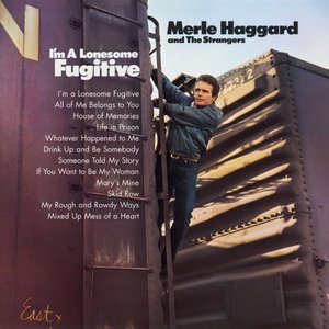 Immagine per 'I'm A Lonesome Fugitive'