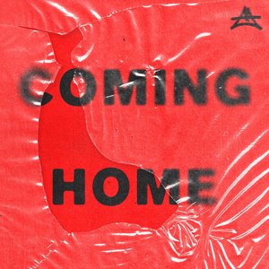 Image for 'Coming Home'