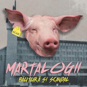 Image for 'Bautura si Scandal'
