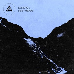 Image for 'Synkro X Deep Heads'