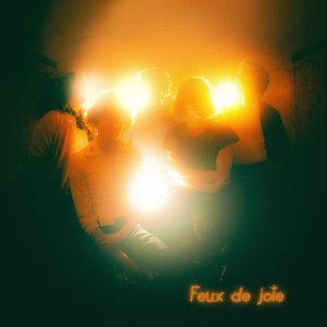 Image for 'Feux de joie'
