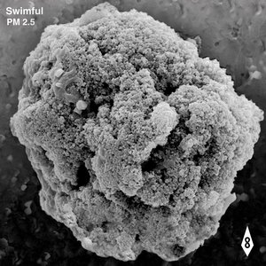 Image for 'Pm2.5'