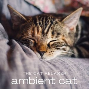 Immagine per 'The Cat Relaxer'