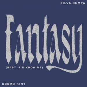 'Fantasy (Baby if u know me) (feat. Kosmo Kint)' için resim