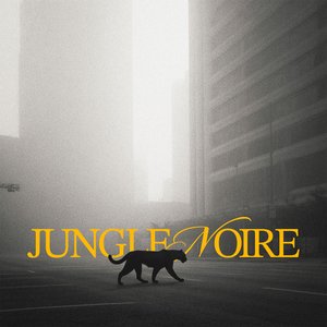 Image for 'Jungle Noire'