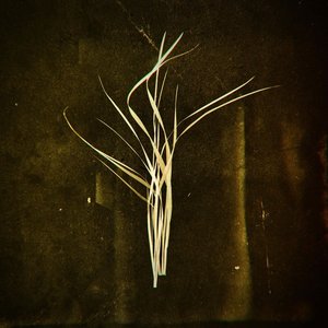 Image for 'Mnemosyne'