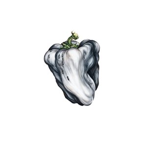Image for 'White Pepper'