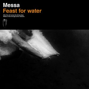 Image for 'Feast for Water'