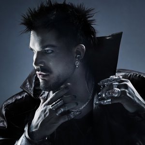 Image for 'Adam Lambert'