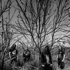 Image for 'PHENOCRYST'