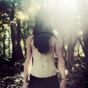 Image for 'Black Sea of Trees'