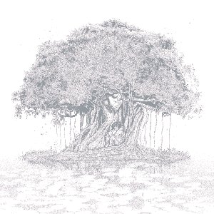 Image for 'bargad'