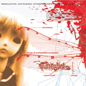 Image for 'Rebuild: The Unfinished Interpretation Of Irrational Behavior'