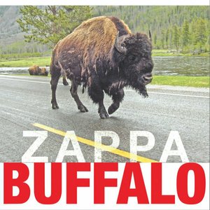 Image for 'Buffalo (Live At Buffalo Memorial Auditorium/1980)'
