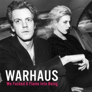 Image for 'We Fucked A Flame Into Being'