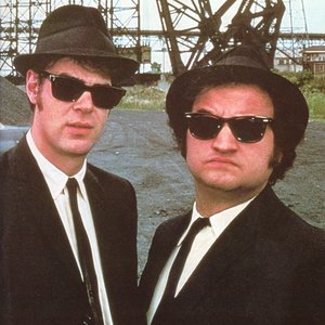 Bild für 'The Blues Brothers'