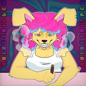 Image for 'noisetripper'