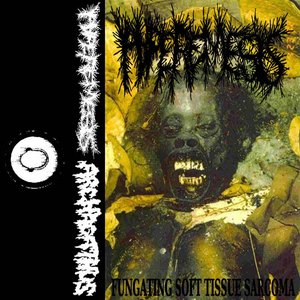 Image for 'ARCHAGATHUS SPLIT OFFICIAL'