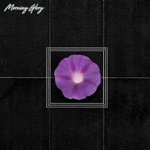 'Morning Glory' için resim