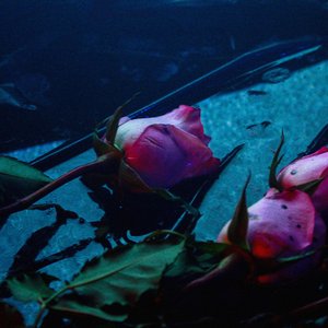 Image for 'Wake'