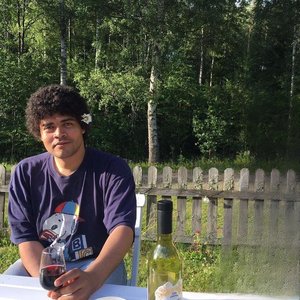Image for 'James Ferraro'