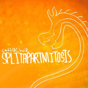 Image for 'SPLITAPARTMITOSIS'