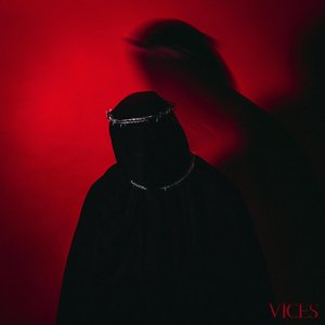 Image for 'VICES'