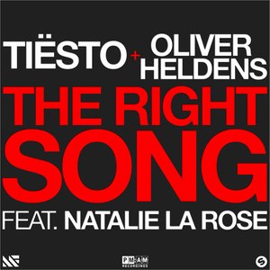 Image for 'The Right Song'