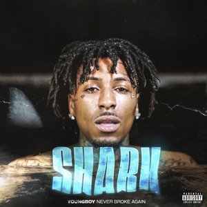 Image for 'Shark - Single'