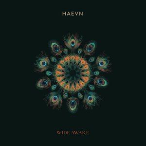 Image for 'Wide Awake'