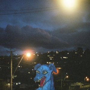Immagine per 'Odd Dog in the Capital'