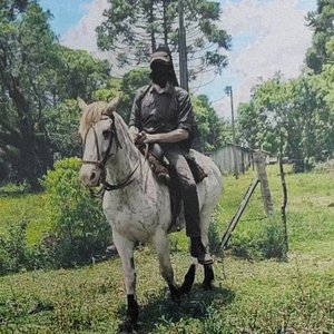Immagine per 'Lebres de Março'