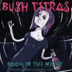 Image for 'Boom in the Night'