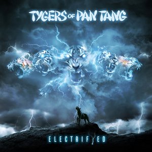 Image for 'Electrifyed'