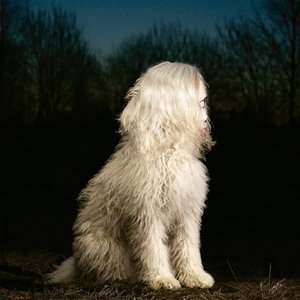 Image for 'Doga'