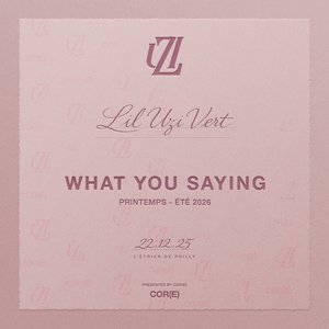 Image for 'What You Saying'