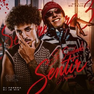Image for 'Se Saudade Sentir (Se Prepara 3)'