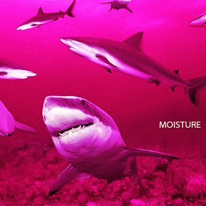 Image for 'Moisture'