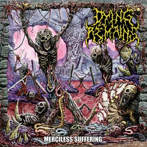 Image for 'Merciless Suffering'