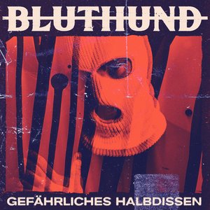 Image for 'Gefährliches Halbdissen'