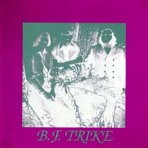 Image for 'B.F. Trike'