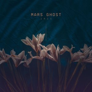 Image for 'Iris'