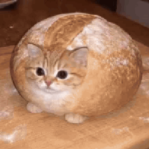 phoosphor