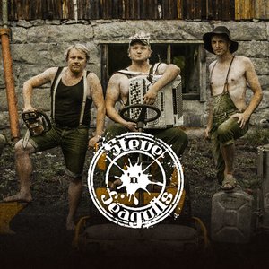 Image for 'Steve'n'Seagulls'