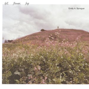 Image for 'Hill, Flower, Fog'