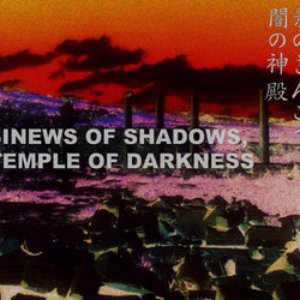 Image for 'Sinews of Shadows, Temple of Darkness'